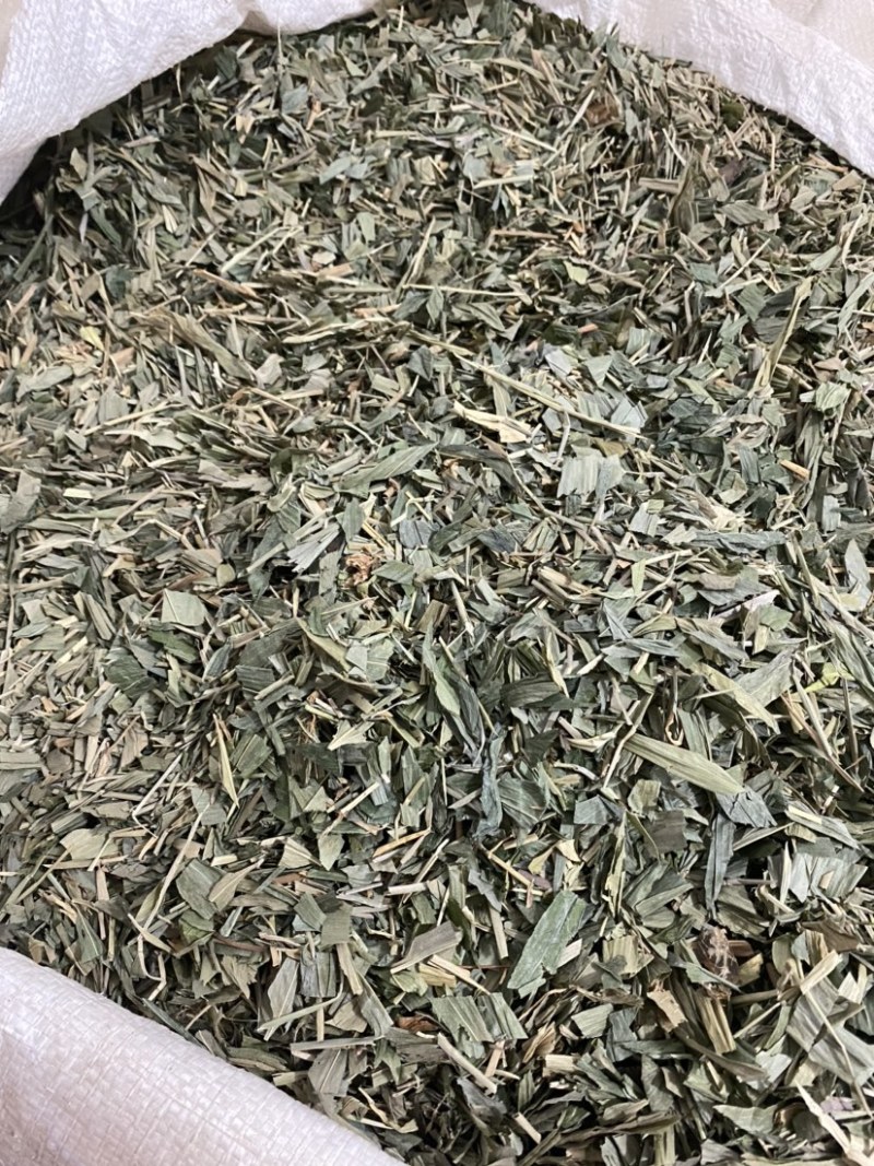 竹叶颜色好一件代发量大从优质量保证