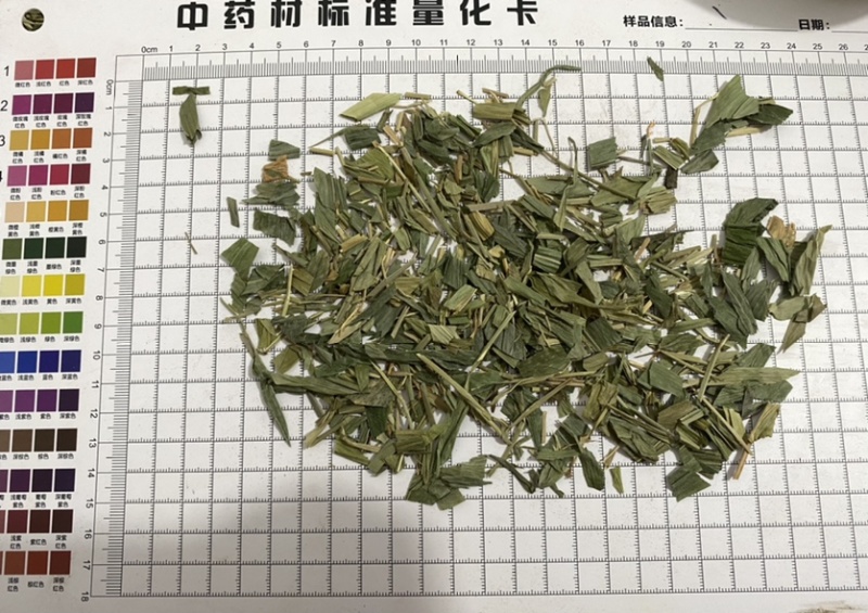 竹叶颜色好一件代发量大从优质量保证