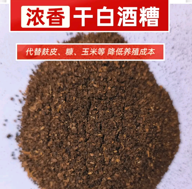 古井镇浓香型五粮白酒糟粉饲料饲养家禽营养丰富
