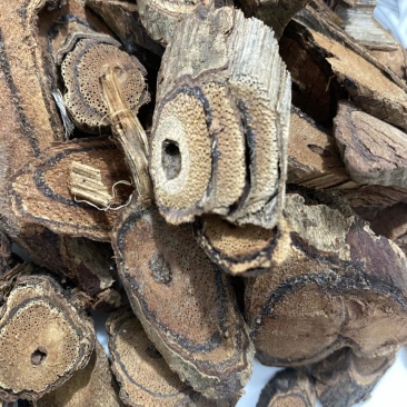 鸡血藤量大从优质量保证