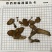鸡血藤量大从优质量保证