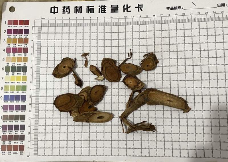 鸡血藤量大从优质量保证