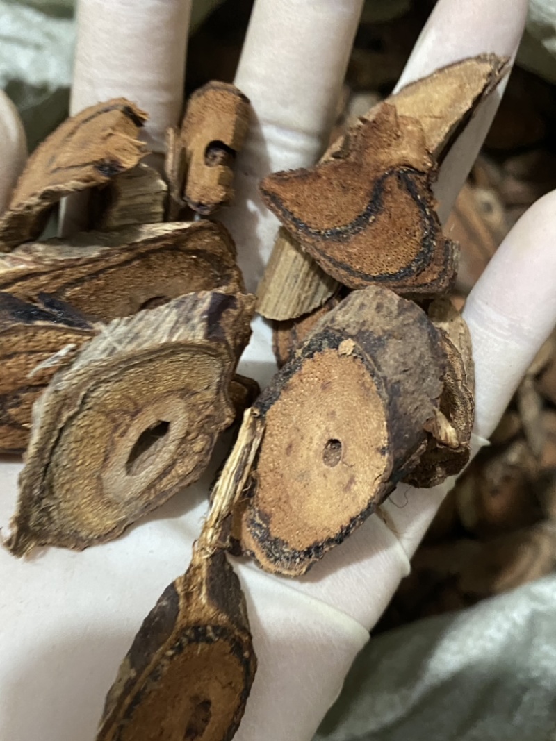 鸡血藤量大从优质量保证