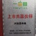 一年新苗，三年移栽普通沙糖桔苗，金秋沙糖桔苗爱莎沙糖桔苗
