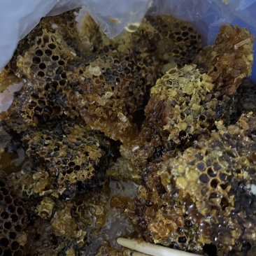 广西大山野生蜂蜜