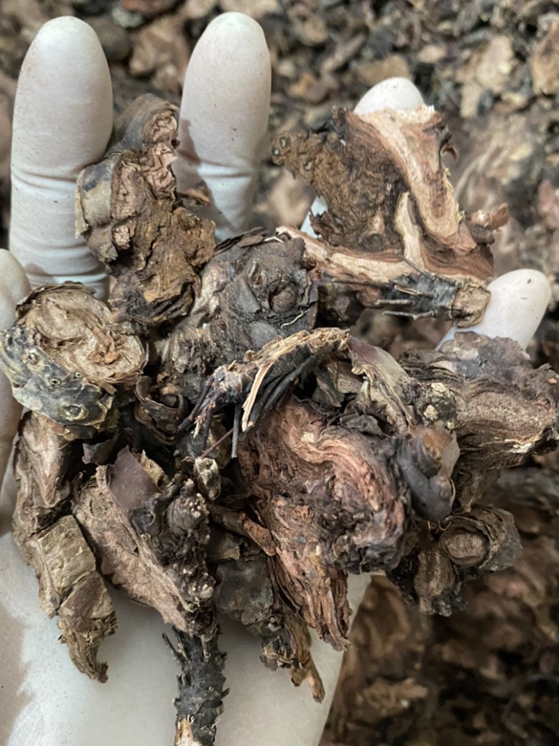 地榆地榆片质量保证一件代发量大从优