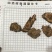 地榆地榆片质量保证一件代发量大从优