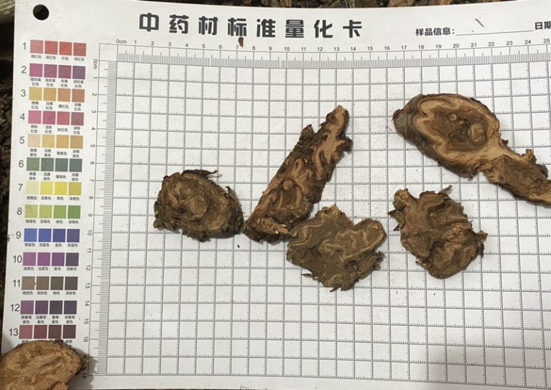 地榆地榆片质量保证一件代发量大从优