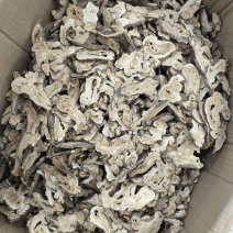 白术片新货净货原色白术个各种正品中药材