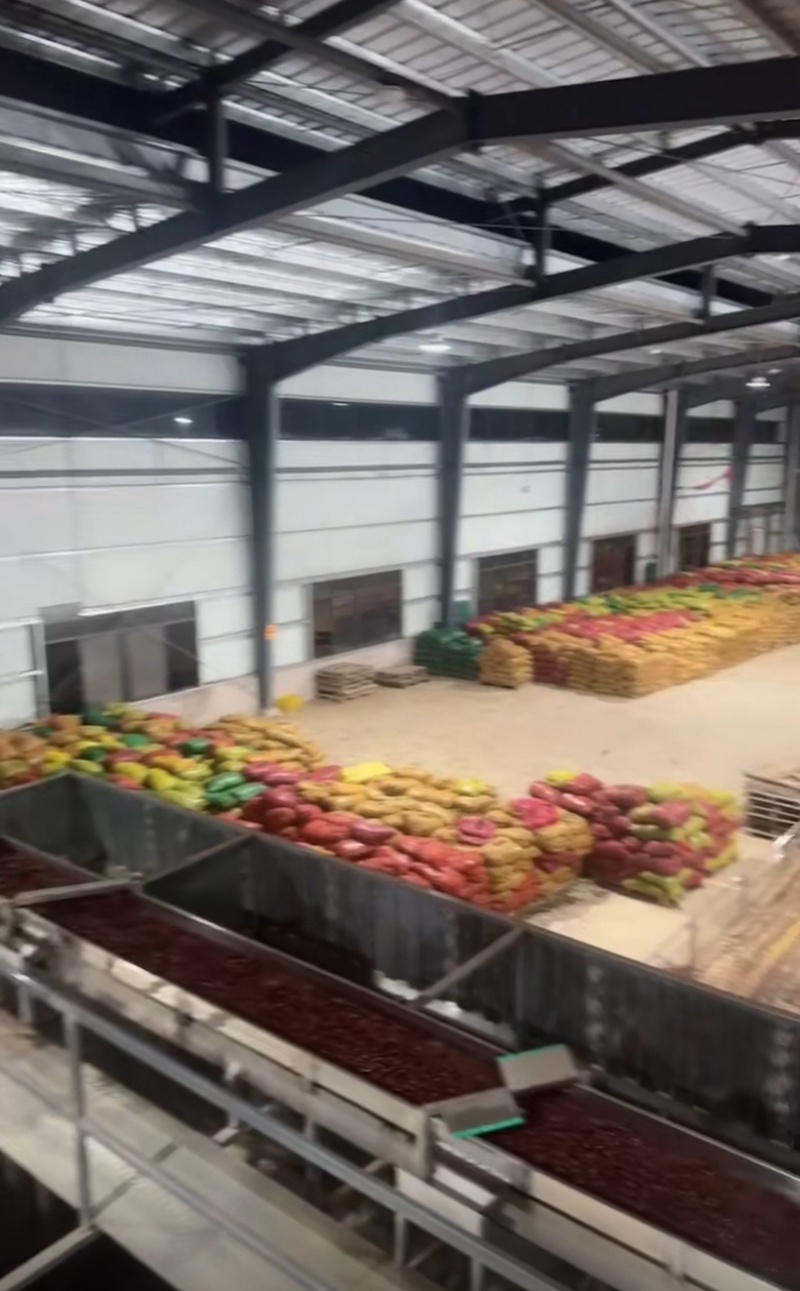 笑口香榧香榧坚果干果好货源头工厂直销性价比
