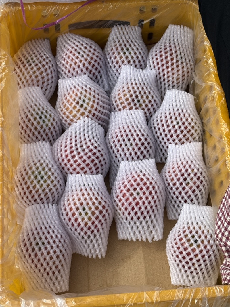 盐源丑苹果大量装箱中欢迎各位老板选购，今日