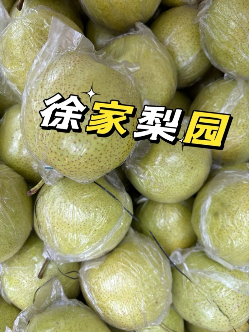 莱阳大香水梨，优质大果，90规格以上，香甜多汁