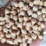 鹰嘴豆进口鹰嘴豆规格齐全当季新货颗粒饱满量大从优