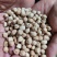 鹰嘴豆进口鹰嘴豆规格齐全当季新货颗粒饱满量大从优