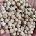 鹰嘴豆进口鹰嘴豆规格齐全当季新货颗粒饱满量大从优