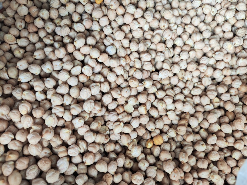 鹰嘴豆进口鹰嘴豆规格齐全当季新货颗粒饱满量大从优