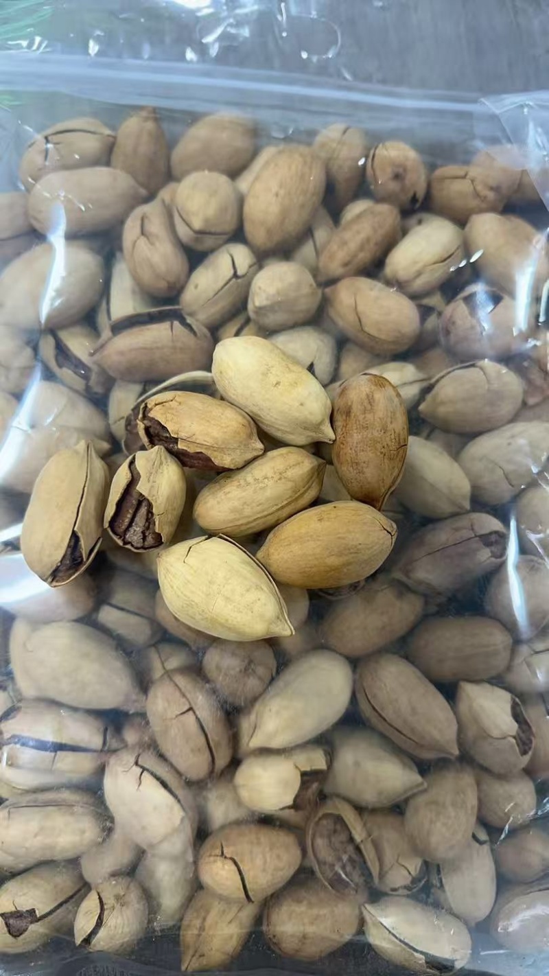 供应链现货碧根果，价格比去年便宜，全网比价，大单来谈