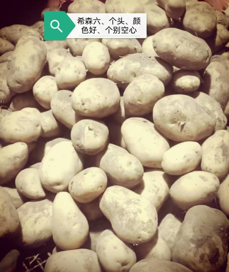 内蒙古V7土豆量大优惠，产地一手货源欢迎合作
