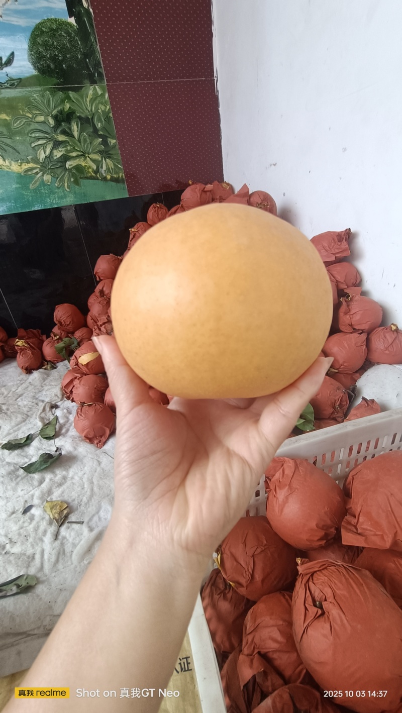 梨