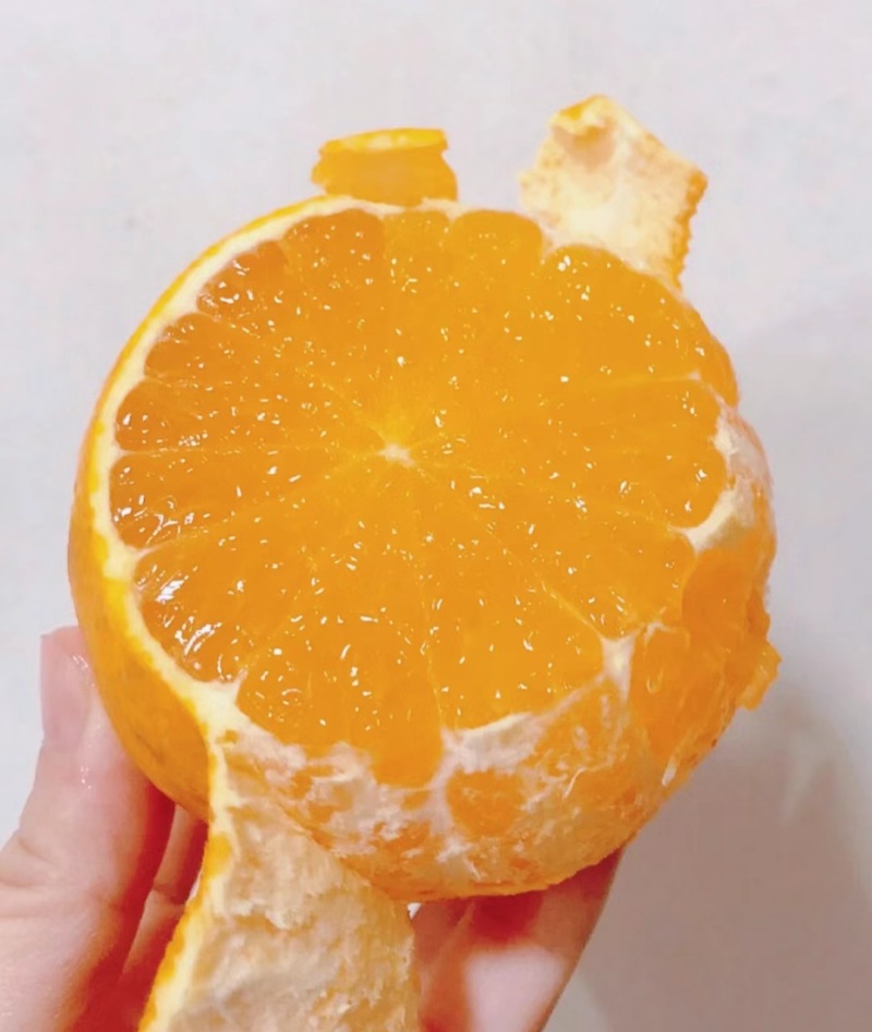 咱这果冻橙不是随便的货源，是四川当地的果园