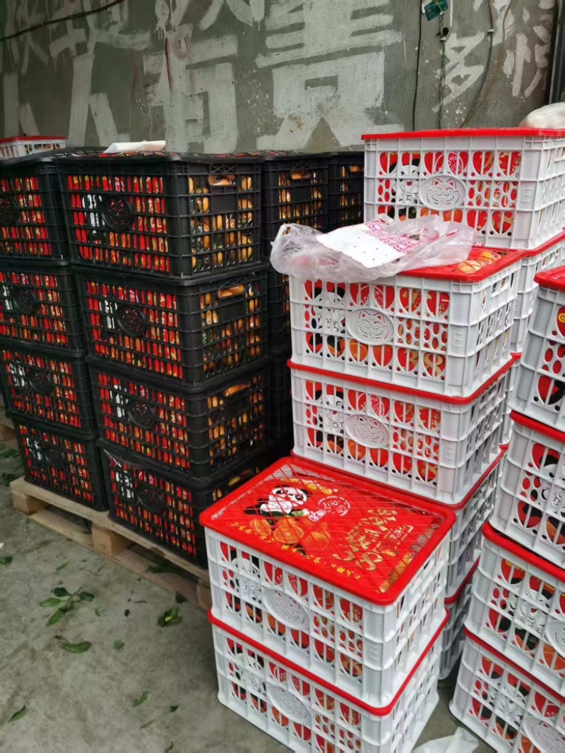 38爱媛果冻城