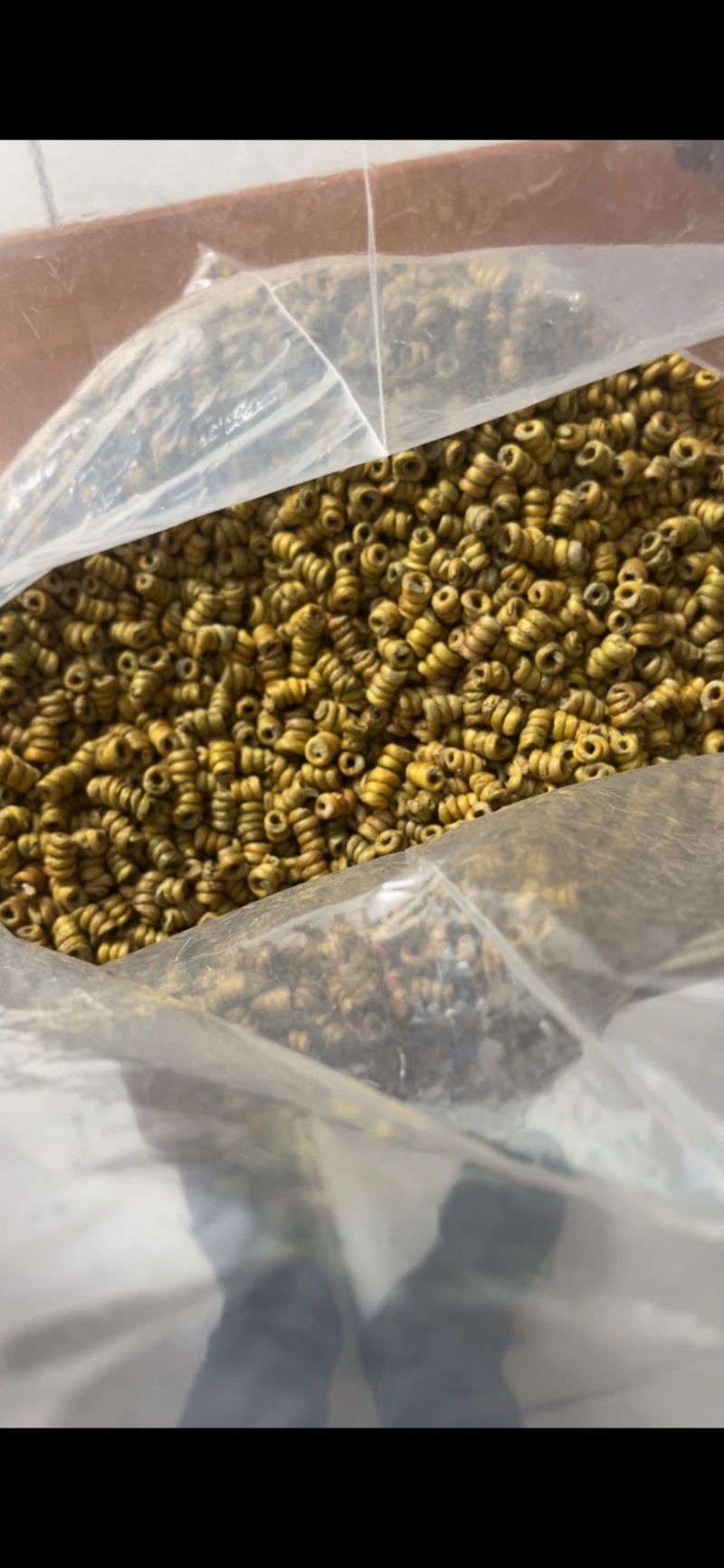 霍山铁皮石斛枫斗产地直发5年种植石斛枫斗