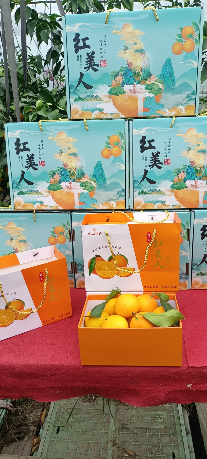 象山红美人