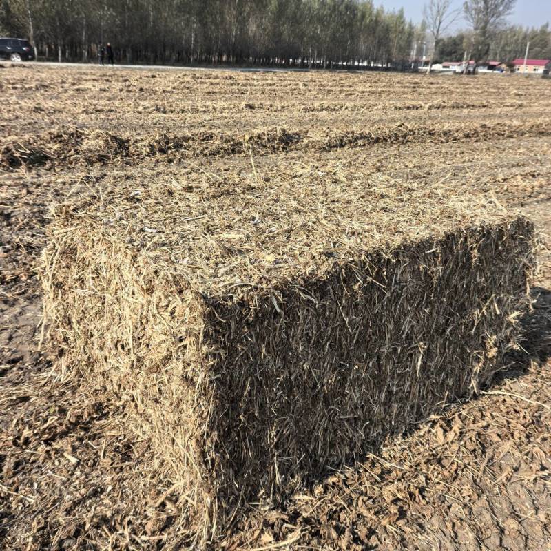 大豆秸秆，辽宁大豆秸秆大方捆原料内含大量大豆粒营养丰富。