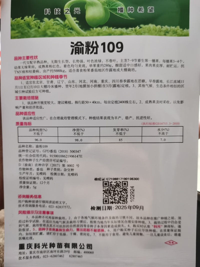 金粉2号9号番茄种子渝粉109口感型沙穰西红柿种子