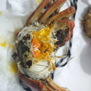 haidt海鲜