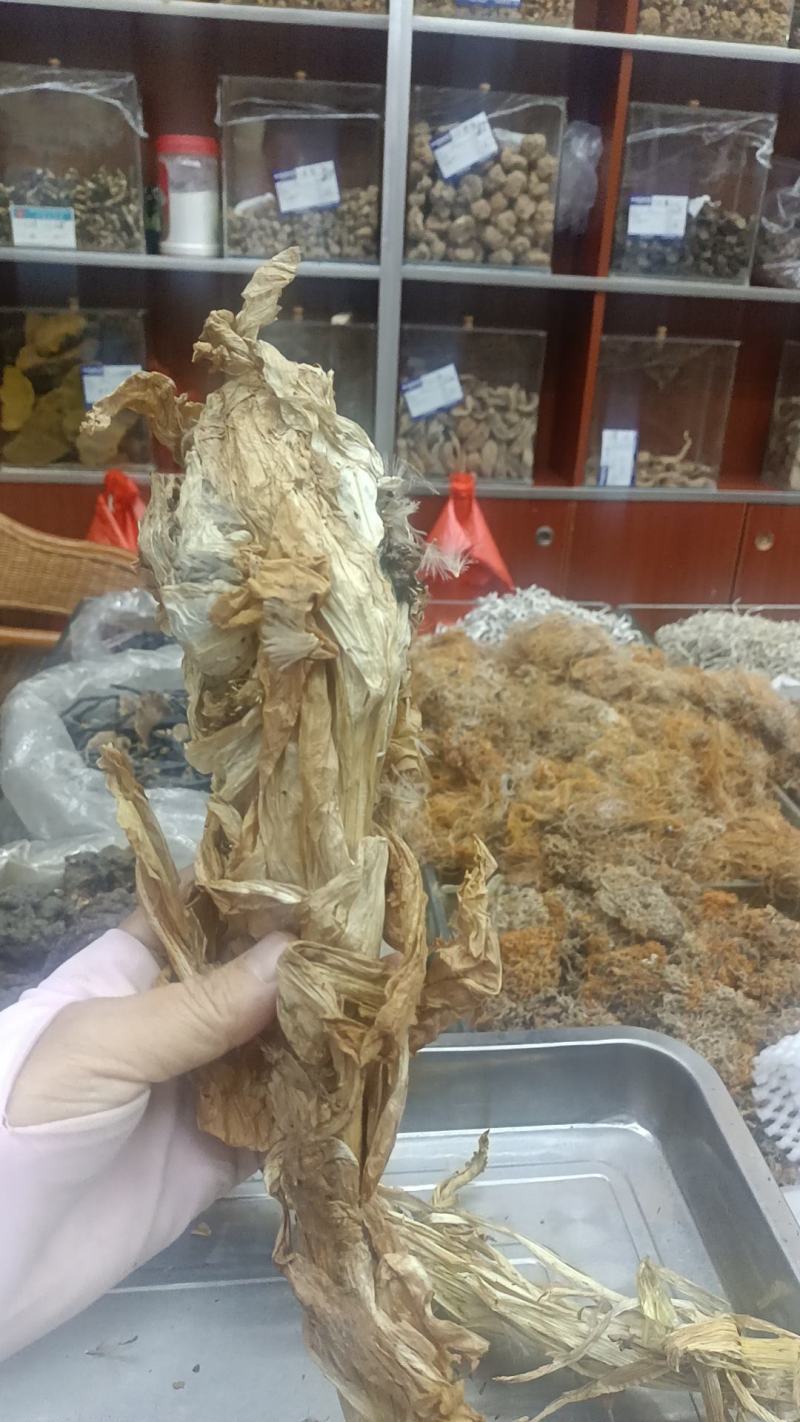 雪莲花