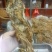 雪莲花