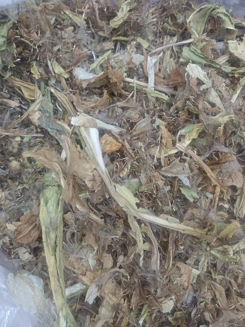 雪莲花