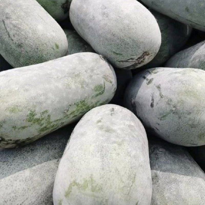 水果冬瓜