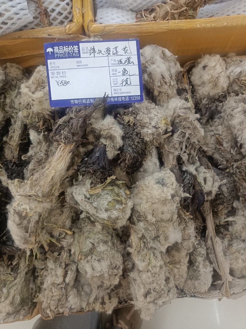雪莲花