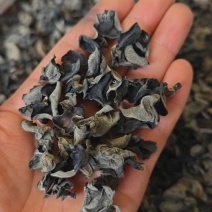 黑木耳大量批发，产地直销，电商手选，量大从优