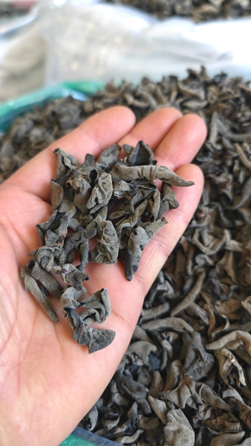 黑木耳大量批发，产地直销，电商手选，量大从优
