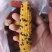 文玩玉米彩色玉米