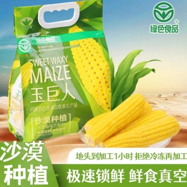 沙漠有机玉米乌兰布和沙漠有机玉米鲜食鲜食真空装