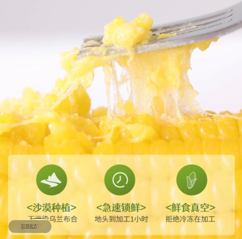 沙漠有机玉米乌兰布和沙漠有机玉米鲜食鲜食真空装
