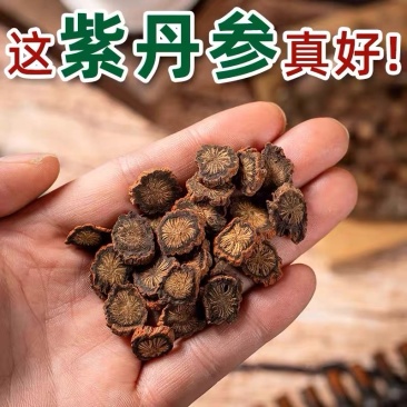 紫丹参发汗紫丹参中药材丹参无硫***批发零售