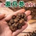 紫丹参发汗紫丹参中药材丹参无硫***批发零售