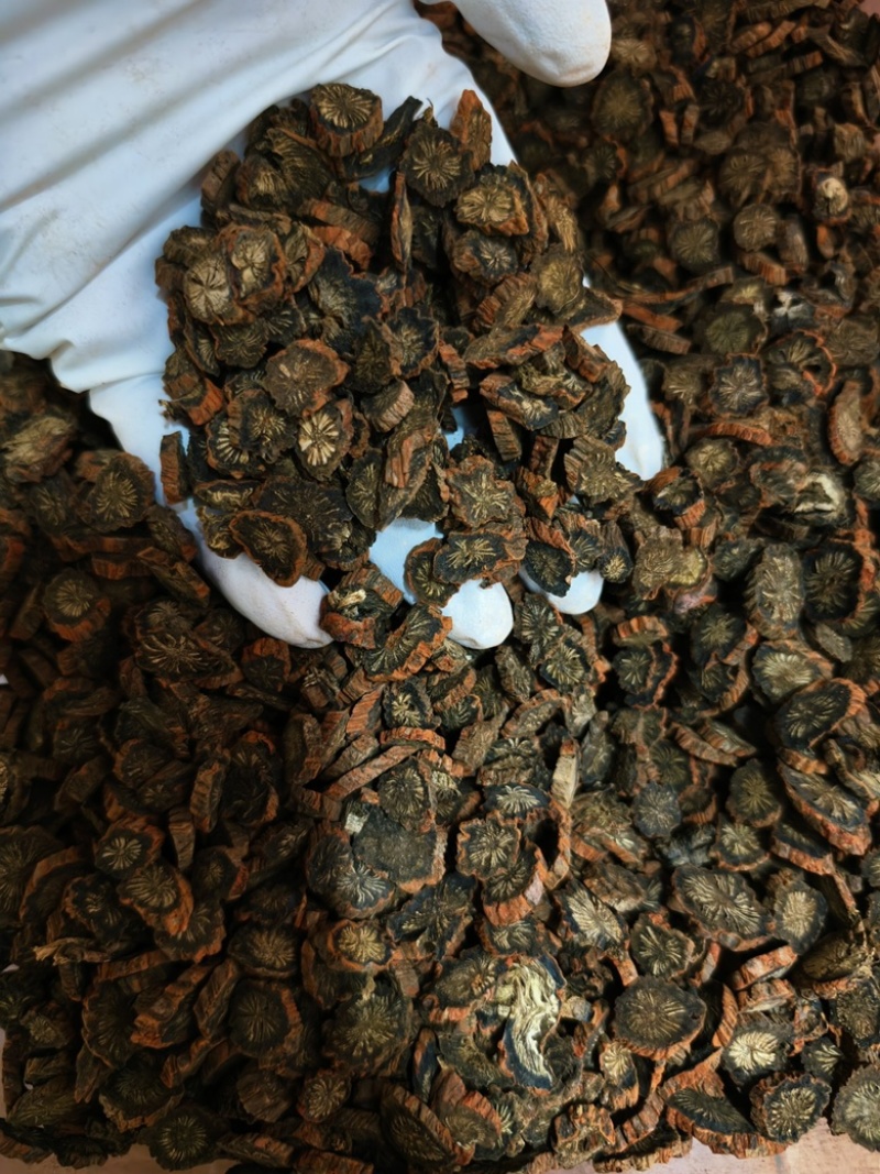 紫丹参发汗紫丹参中药材丹参无硫***批发零售