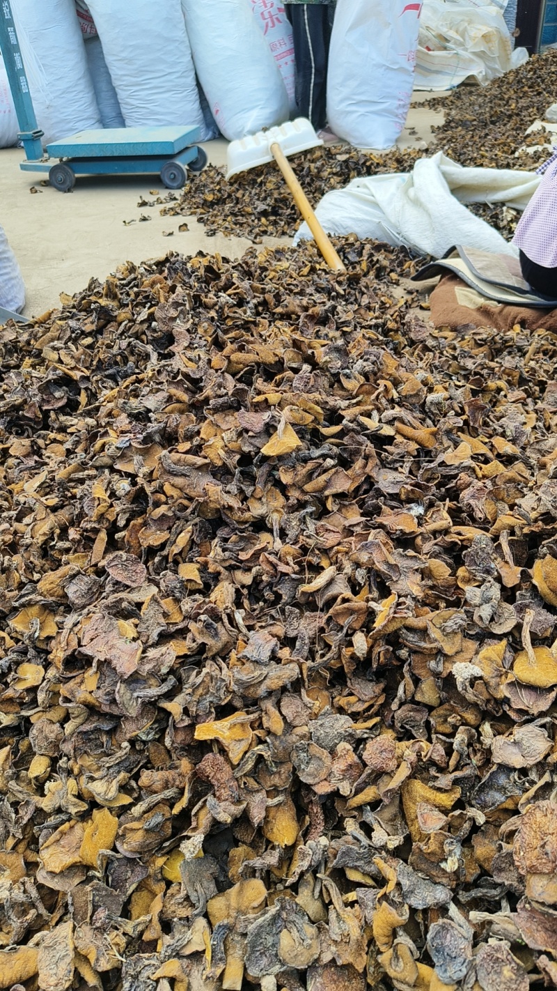精品烤干，一手货源，产地直供，量大从优。