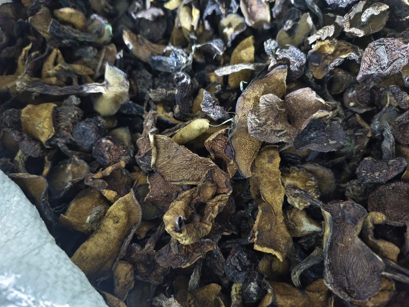 精品烤干，一手货源，产地直供，量大从优。