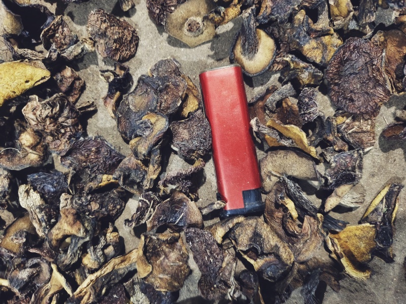 精品烤干，一手货源，产地直供，量大从优。