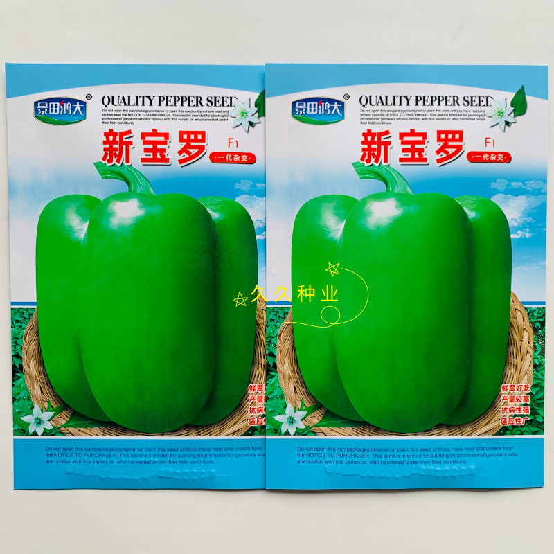 新宝罗甜椒种子大果长灯笼型甜椒种子抗病翠绿杂交甜椒菜椒种