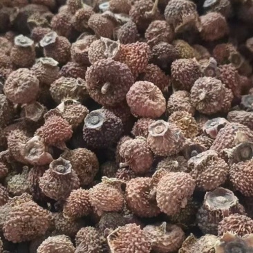 贵州高山刺梨干果大量有货，需要的老板联系我！