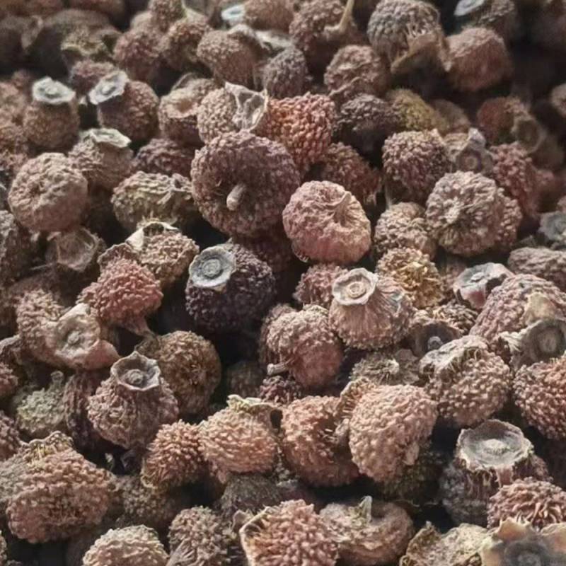 贵州高山刺梨干果大量有货，需要的老板联系我！
