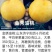 奶油蟠桃苗天外之星油蟠桃苗红肉油蟠桃苗油蟠6-21桃苗